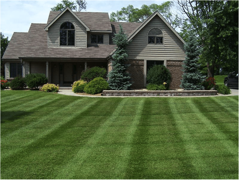 home with beautiful front lawn