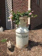 close-up of welcome flower pot