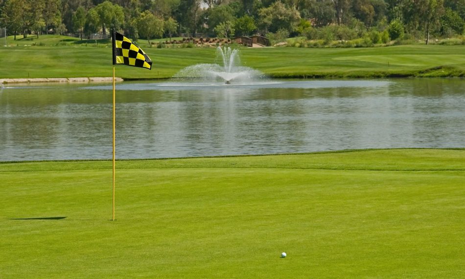 close-up of a golf course