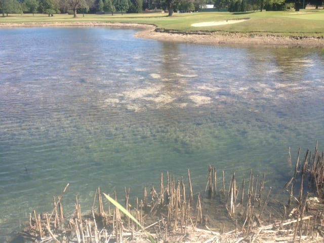 Coyote Creek Golf Club in Fort Wayne, IN