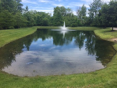 Pond after the grass was freshly mowed