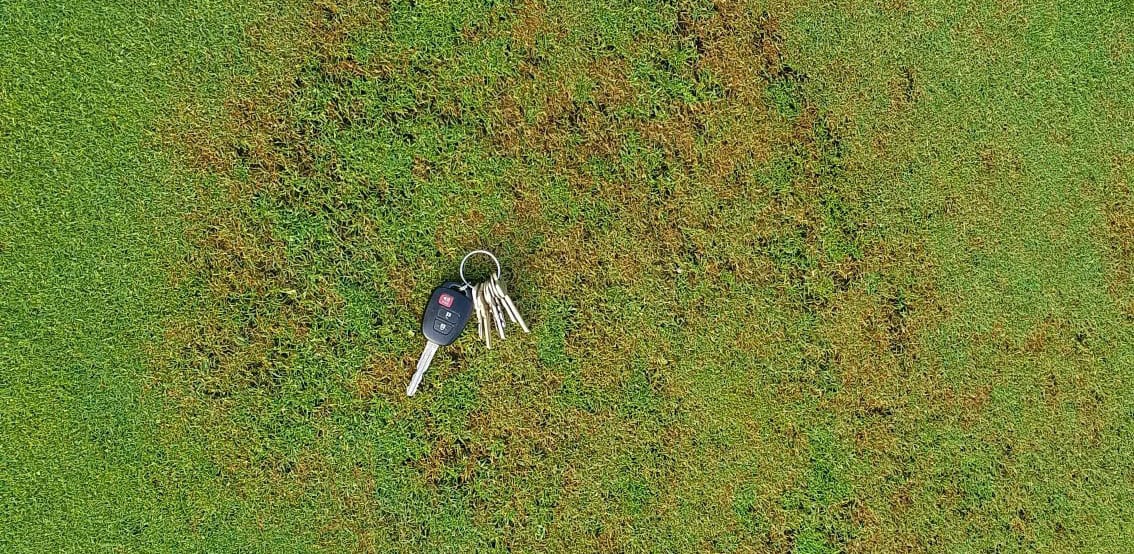 pair of keys laying on green turf