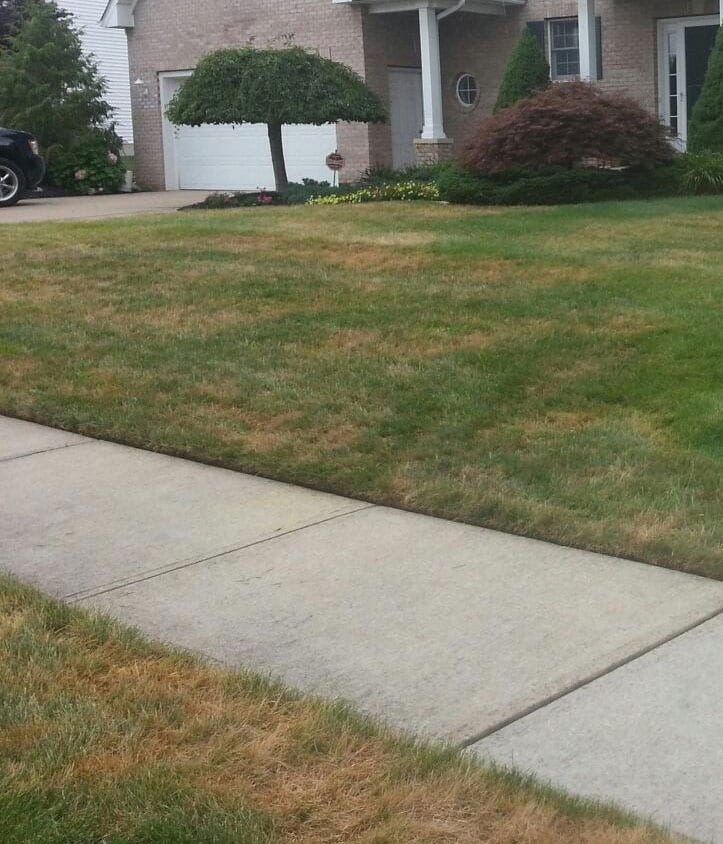 front view of residential home owner lawn