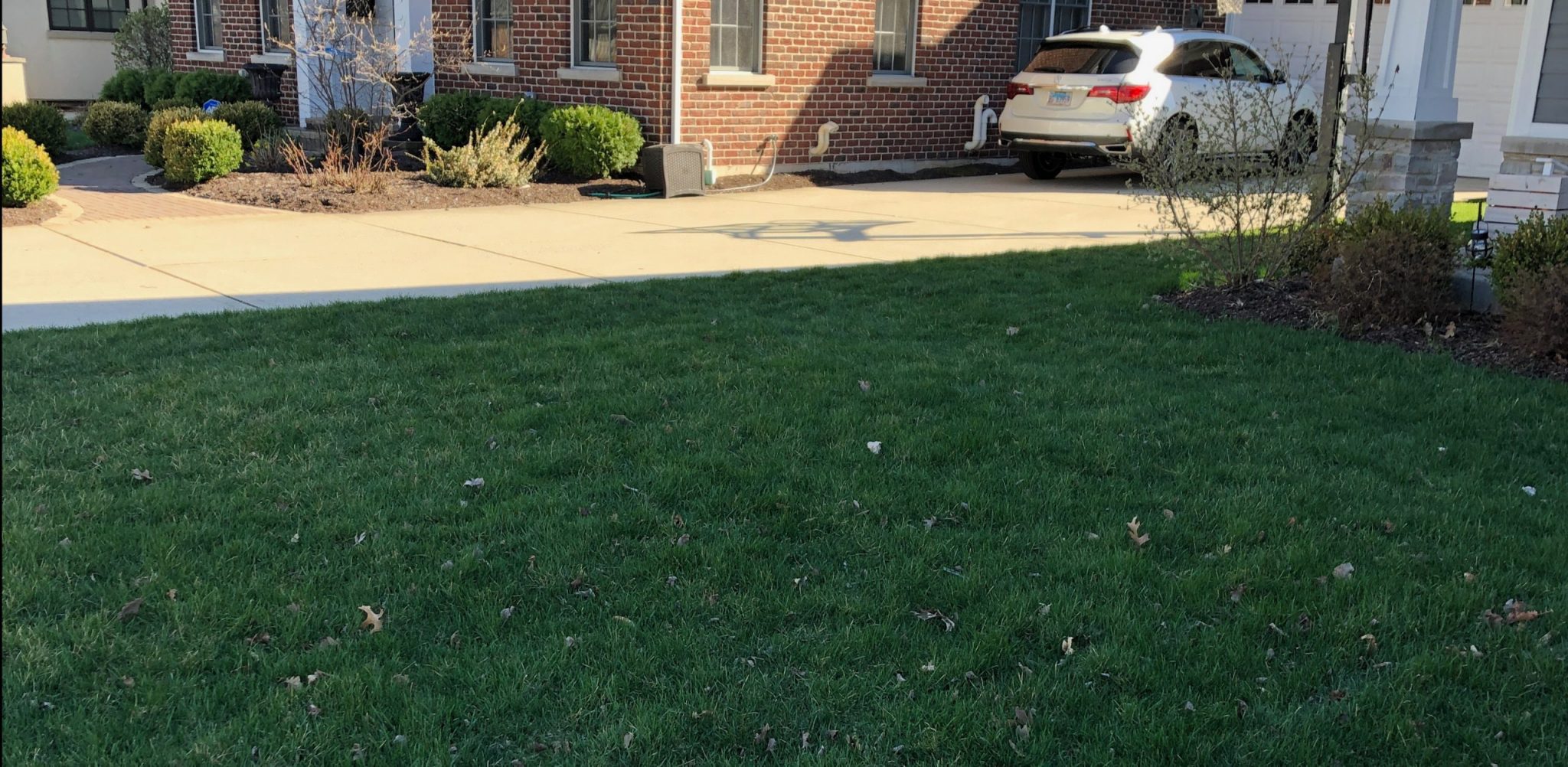 close up of someones lawn