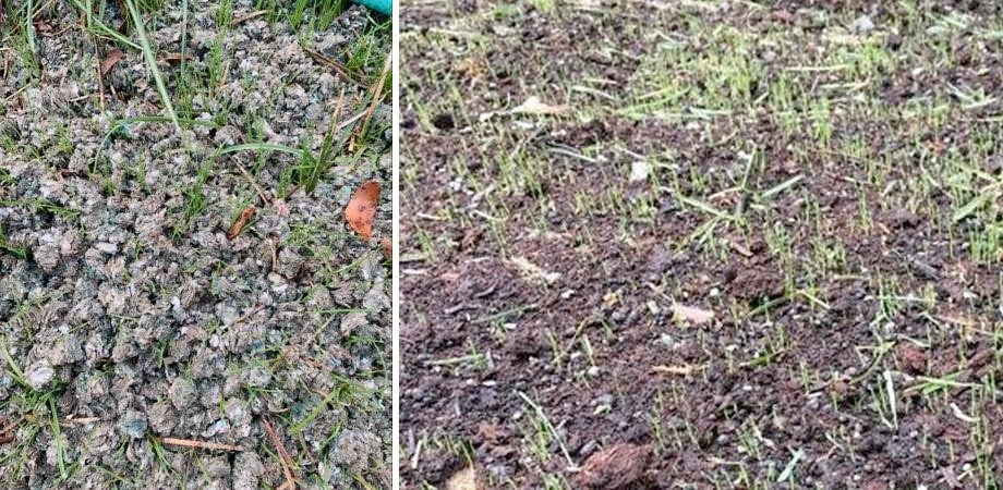 seeding problem during cool season