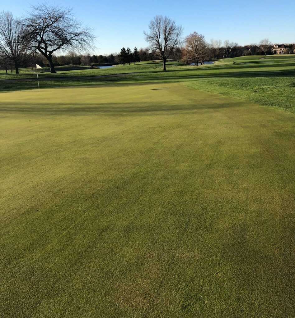 close up of golf course in Springbrook