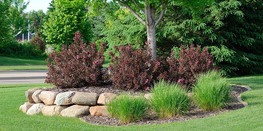 Landscaping with Weigela Shrubs and Rock Retaining Wall