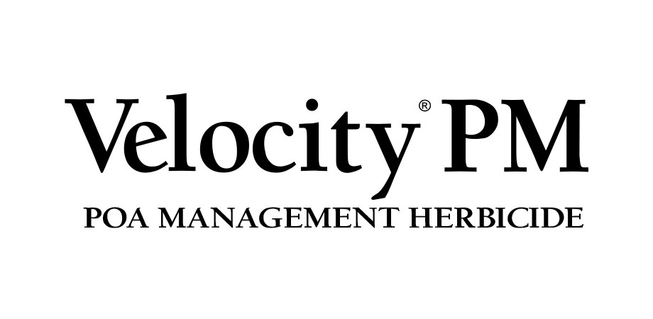 velocity pm