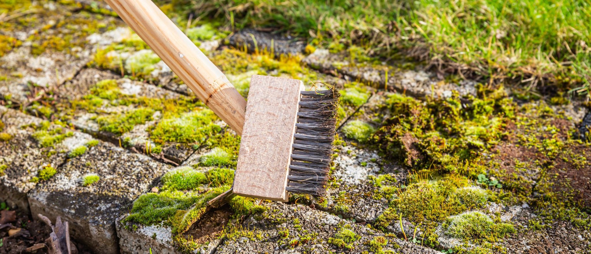 Removing Moss From Patios Advanced Turf Solutions
