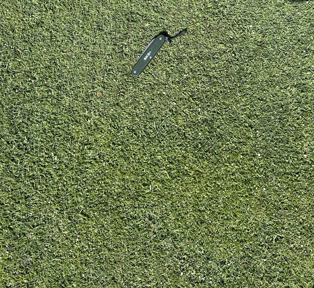 Seeding Success With Creeping Bentgrass - Advanced Turf Solutions