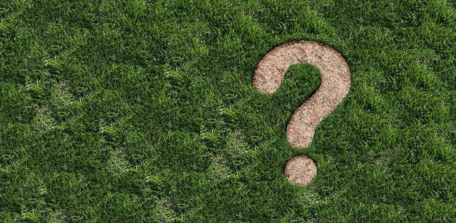 brown spots on sports field