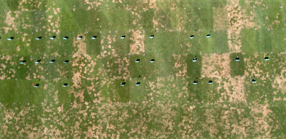 Pure seed testing lab