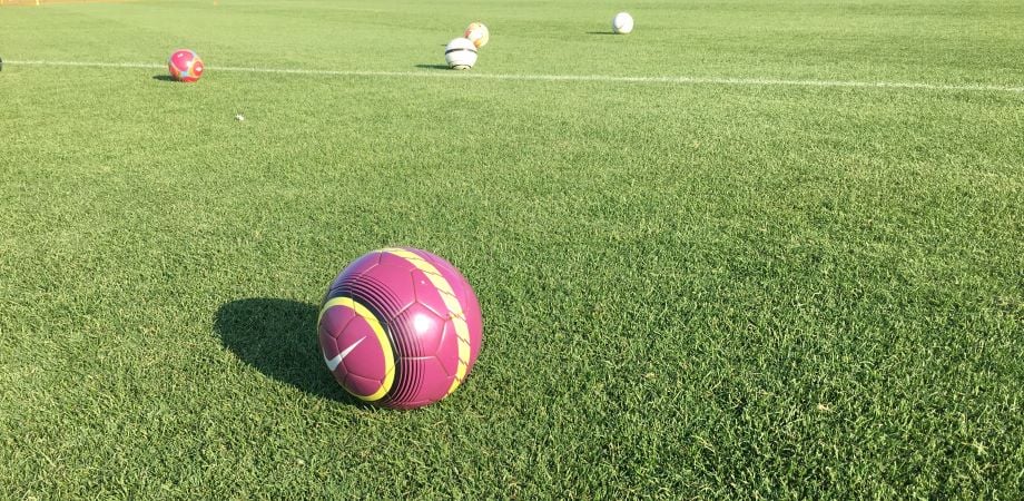 Image of soccer ball on bluemuda turfgrass field