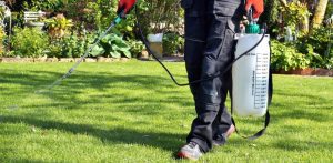 Planning Your Pre-Emergent Herbicide Purchases - Advanced Turf Solutions