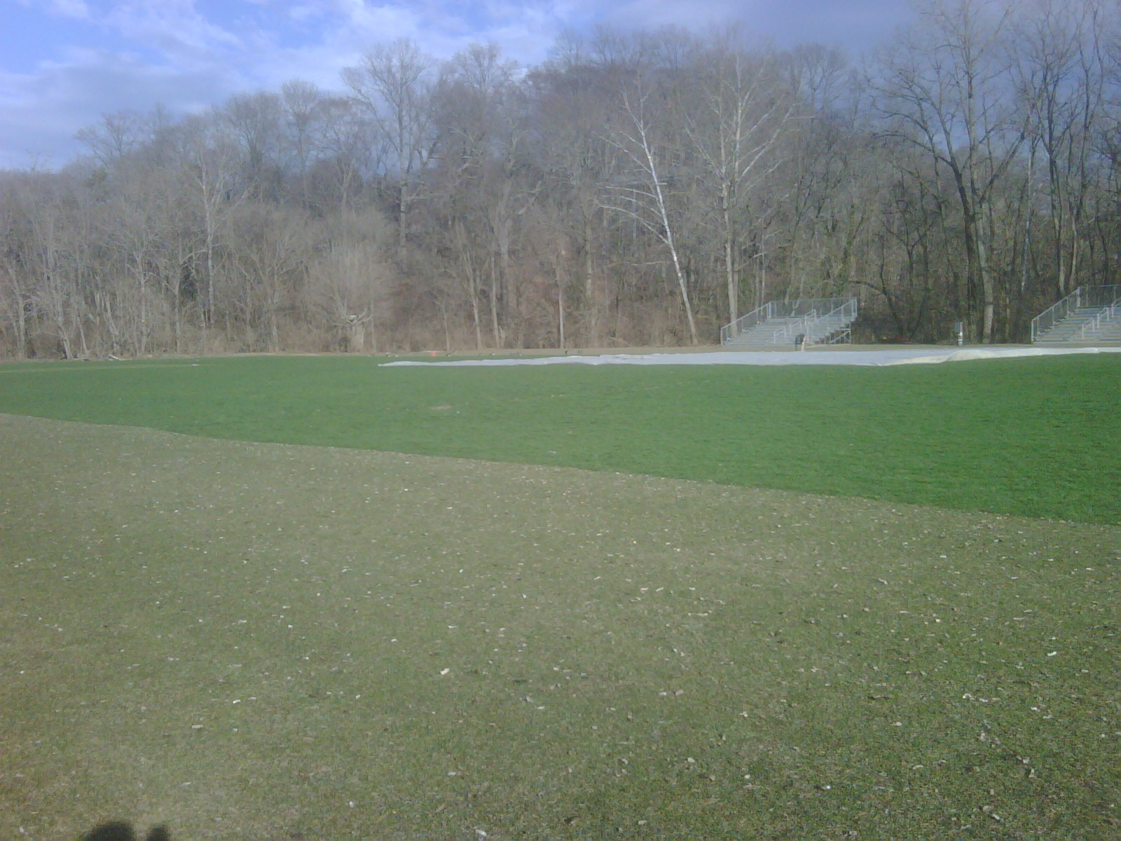 Turf in the background was covered, while turf in the foreground was not
