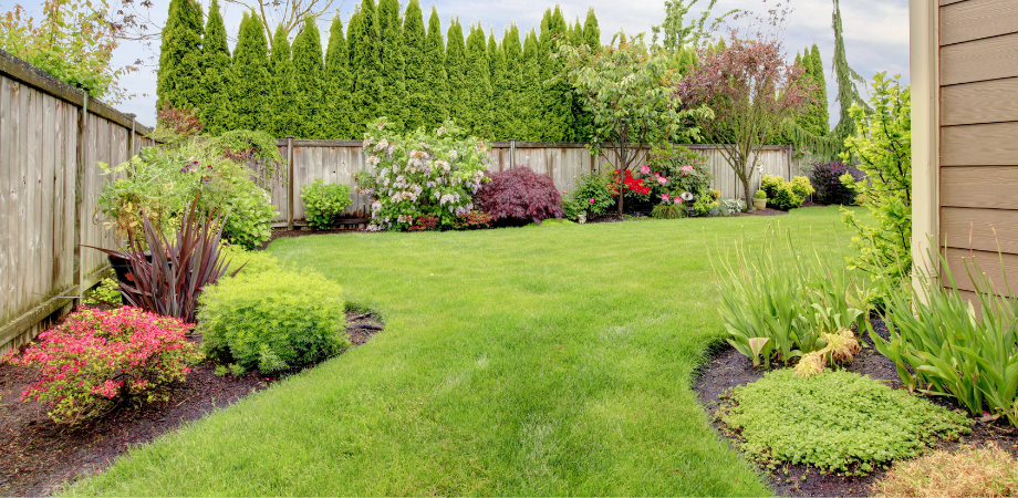 Pre Emergent Herbicides Advanced Turf Solutions